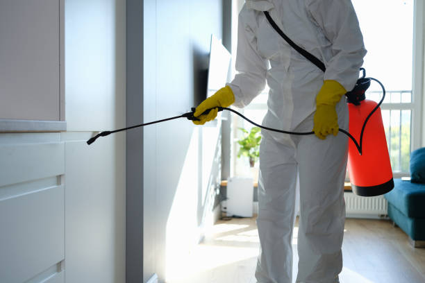 Best Bathroom Mold Remediation in Lakewood Clu, MI